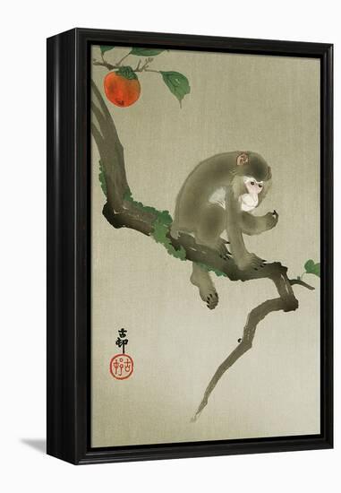 Monkey and Persimmon-Koson Ohara-Framed Premier Image Canvas