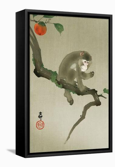 Monkey and Persimmon-Koson Ohara-Framed Premier Image Canvas