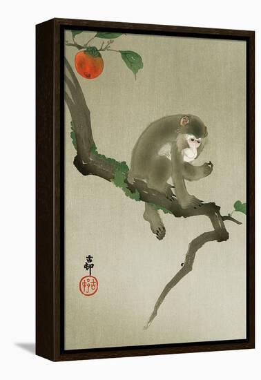 Monkey and Persimmon-Koson Ohara-Framed Premier Image Canvas