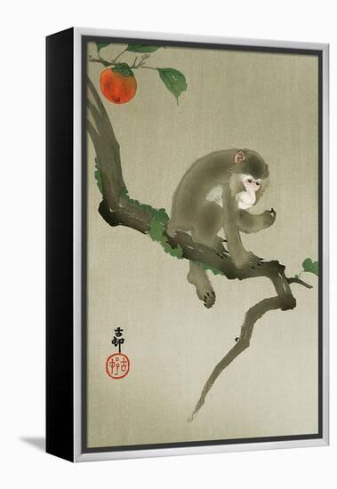 Monkey and Persimmon-Koson Ohara-Framed Premier Image Canvas