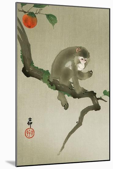 Monkey and Persimmon-Koson Ohara-Mounted Giclee Print