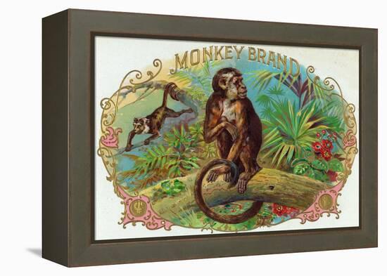 Monkey Brand Cigar Box Label-Lantern Press-Framed Stretched Canvas