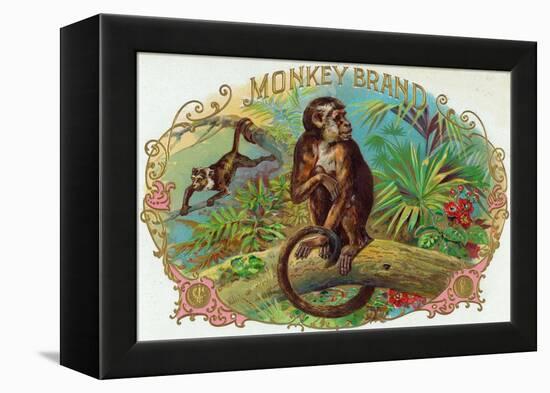 Monkey Brand Cigar Box Label-Lantern Press-Framed Stretched Canvas