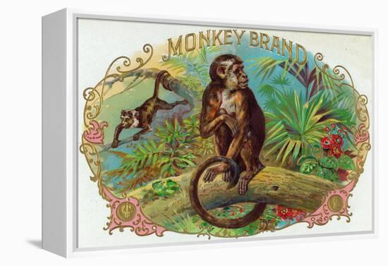 Monkey Brand Cigar Box Label-Lantern Press-Framed Stretched Canvas