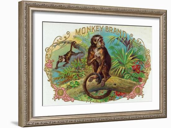 Monkey Brand Cigar Box Label-Lantern Press-Framed Premium Giclee Print