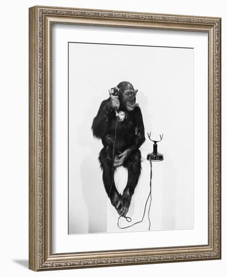 Monkey Business-null-Framed Photo