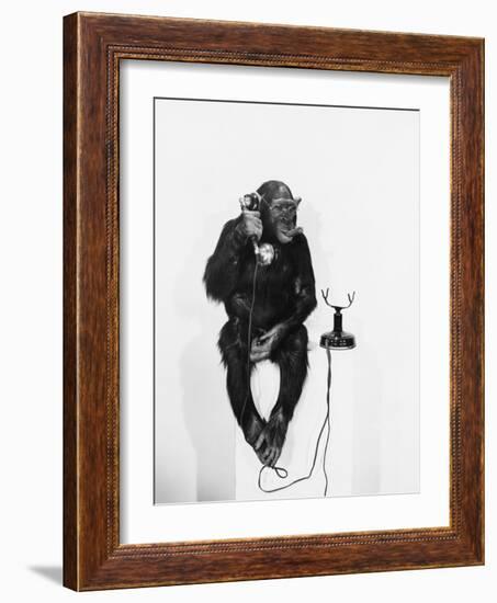 Monkey Business-null-Framed Photo