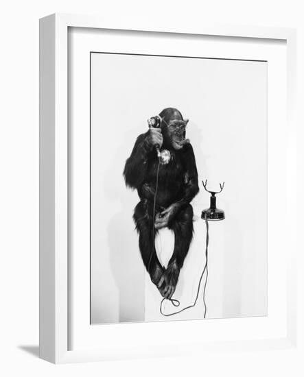 Monkey Business-null-Framed Photo