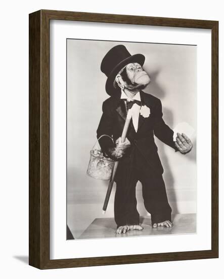 Monkey Dressed as a Groom-null-Framed Photo