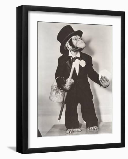 Monkey Dressed as a Groom-null-Framed Photo