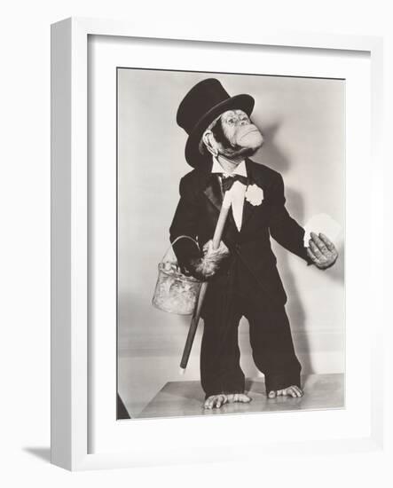 Monkey Dressed as a Groom-null-Framed Photo