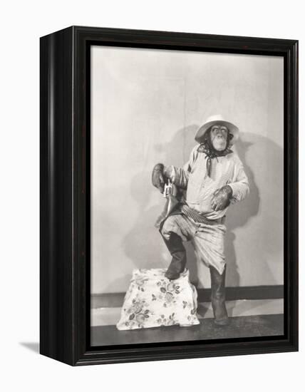 Monkey Dressed Up Like a Cowboy-null-Framed Stretched Canvas