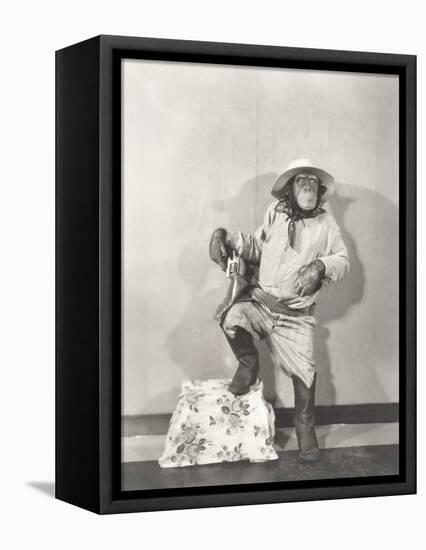 Monkey Dressed Up Like a Cowboy-null-Framed Stretched Canvas