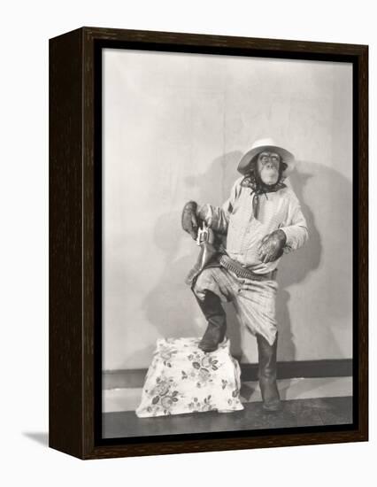 Monkey Dressed Up Like a Cowboy-null-Framed Stretched Canvas