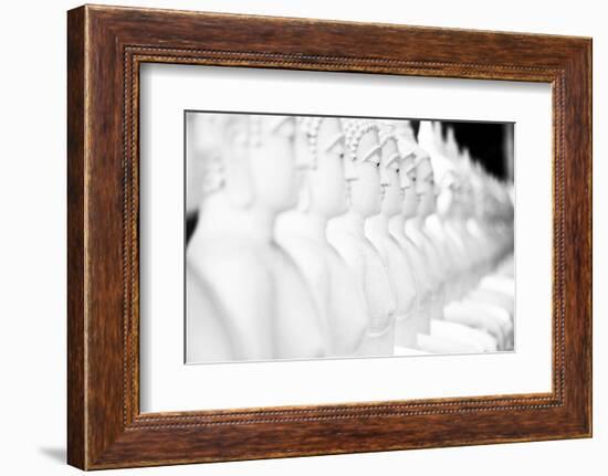Monkey Forest Is Located in the Xe Champhone Region of Laos-Micah Wright-Framed Photographic Print