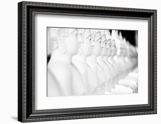 Monkey Forest Is Located in the Xe Champhone Region of Laos-Micah Wright-Framed Photographic Print