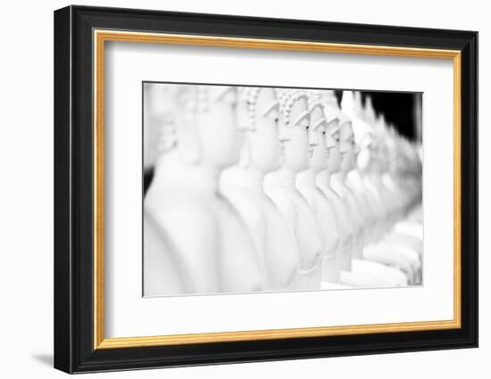 Monkey Forest Is Located in the Xe Champhone Region of Laos-Micah Wright-Framed Photographic Print