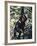 Monkey Hanging from a Tree Branch-Nigel Pavitt-Framed Photographic Print