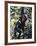 Monkey Hanging from a Tree Branch-Nigel Pavitt-Framed Photographic Print