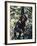 Monkey Hanging from a Tree Branch-Nigel Pavitt-Framed Photographic Print