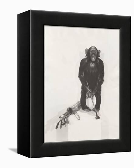 Monkey Holding a Golf Club-null-Framed Stretched Canvas