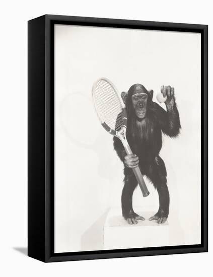 Monkey Holding a Tennis Racket and Ball-null-Framed Stretched Canvas