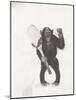 Monkey Holding a Tennis Racket and Ball-null-Mounted Photo