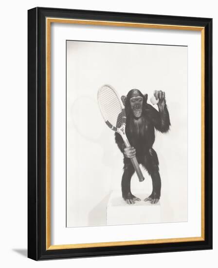 Monkey Holding a Tennis Racket and Ball-null-Framed Photo