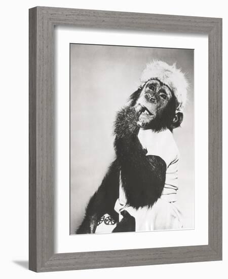 Monkey in Coonskin Cap Deep in Thought-null-Framed Photo