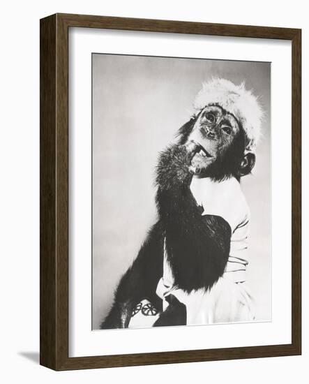 Monkey in Coonskin Cap Deep in Thought-null-Framed Photo