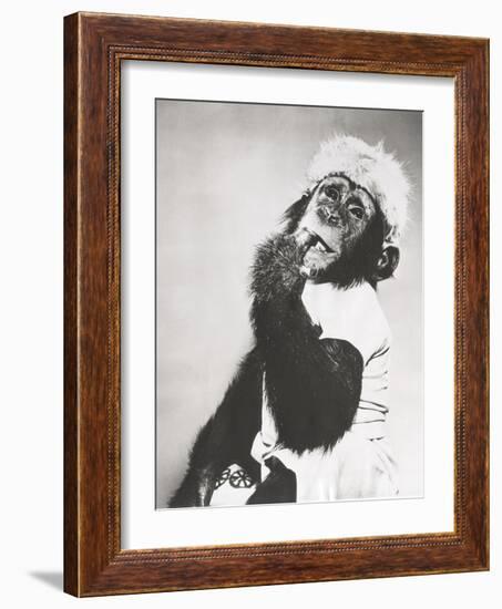 Monkey in Coonskin Cap Deep in Thought-null-Framed Photo