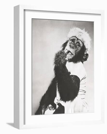 Monkey in Coonskin Cap Deep in Thought-null-Framed Photo