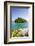 Monkey Island, Port Antonio, Portland Parish, Jamaica, West Indies, Caribbean, Central America-Doug Pearson-Framed Photographic Print