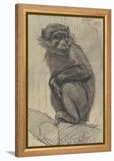 Monkey on a Branch, 1879-August Allebe-Framed Stretched Canvas