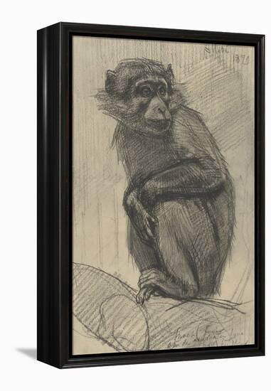 Monkey on a Branch, 1879-August Allebe-Framed Stretched Canvas