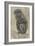 Monkey on a Branch, 1879-August Allebe-Framed Art Print