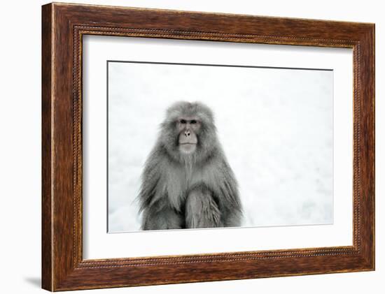 Monkey on Hot Spring Ground-Takashi Kirita-Framed Art Print