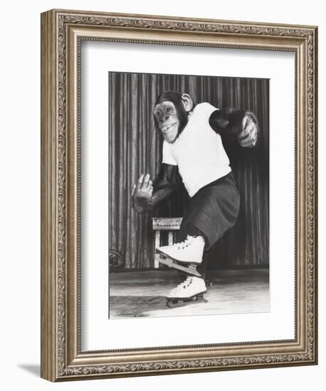 Monkey on Ice Skates-Everett Collection-Framed Photographic Print