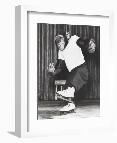 Monkey on Ice Skates-Everett Collection-Framed Photographic Print