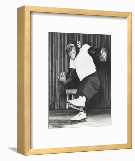 Monkey on Ice Skates-Everett Collection-Framed Photographic Print