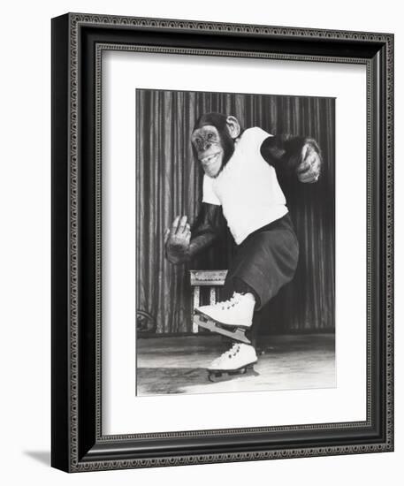 Monkey on Ice Skates-Everett Collection-Framed Photographic Print