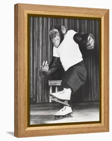 Monkey on Ice Skates-null-Framed Stretched Canvas