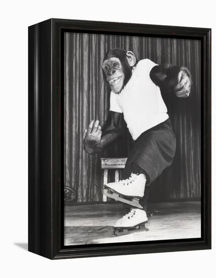 Monkey on Ice Skates-null-Framed Stretched Canvas