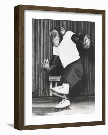 Monkey on Ice Skates-null-Framed Photo