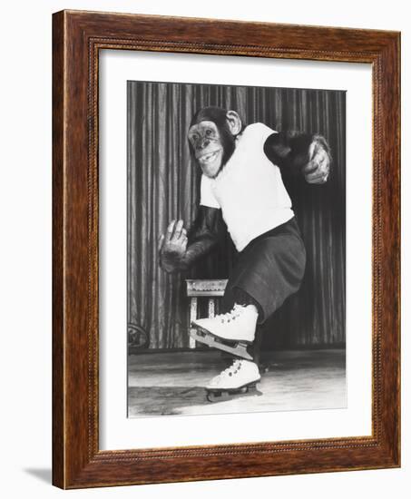 Monkey on Ice Skates-null-Framed Photo