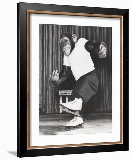 Monkey on Ice Skates-null-Framed Photo