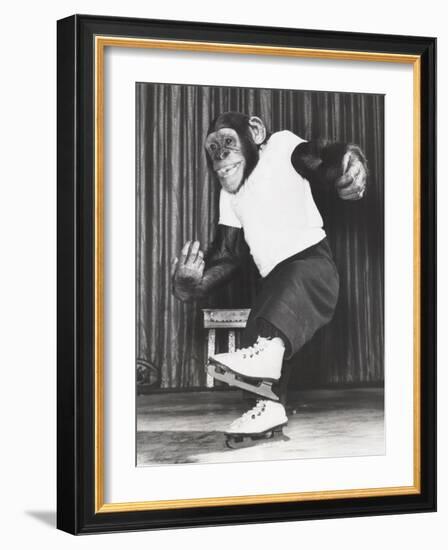 Monkey on Ice Skates-null-Framed Photo