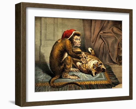 Monkey Physician Examining Cat for Fleas-Science Source-Framed Giclee Print