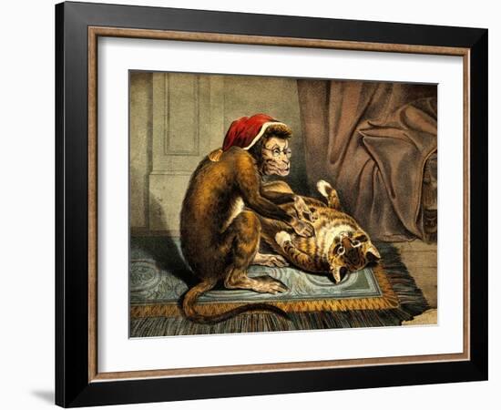 Monkey Physician Examining Cat for Fleas-Science Source-Framed Giclee Print