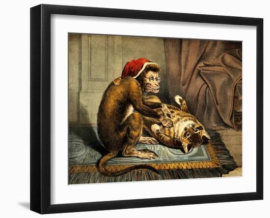 Monkey Physician Examining Cat for Fleas-Science Source-Framed Giclee Print